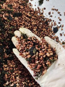 CỐM GẠO LỨT RẪY RONG BIỂN 180G