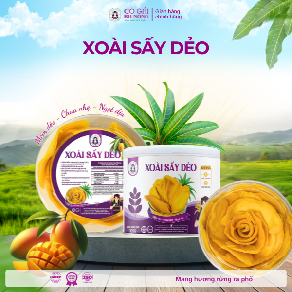 xoài sấy dẻo (2)