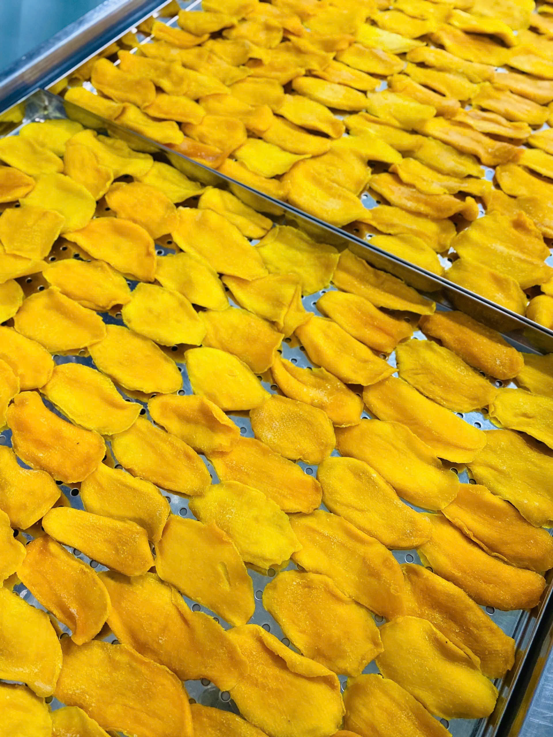 z5688667003027_bbe93a000dbeae934931d62f6ae3ae61