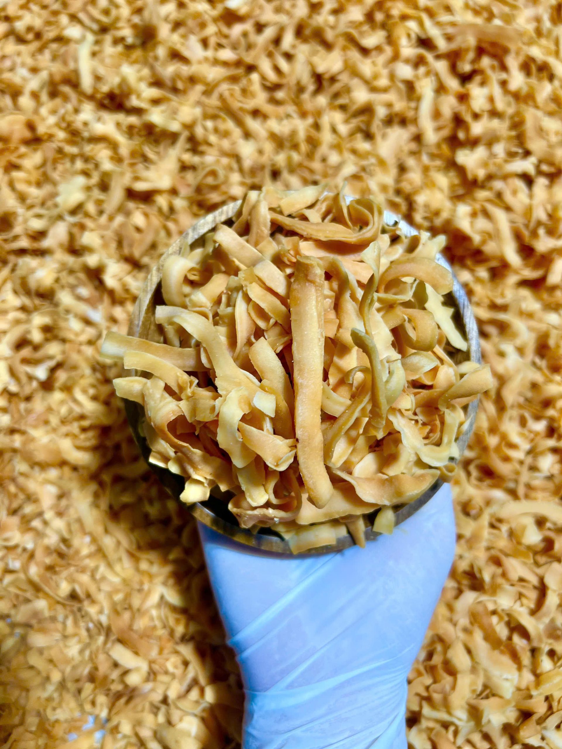 z7031199423082_2336777d7b72734d370491ced44984d6